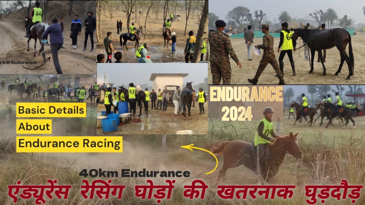 40 कि.मी. एंड्यूरेंस रेसिंग | Endurance Race  India  | Endurance Racing Jaipur 2024