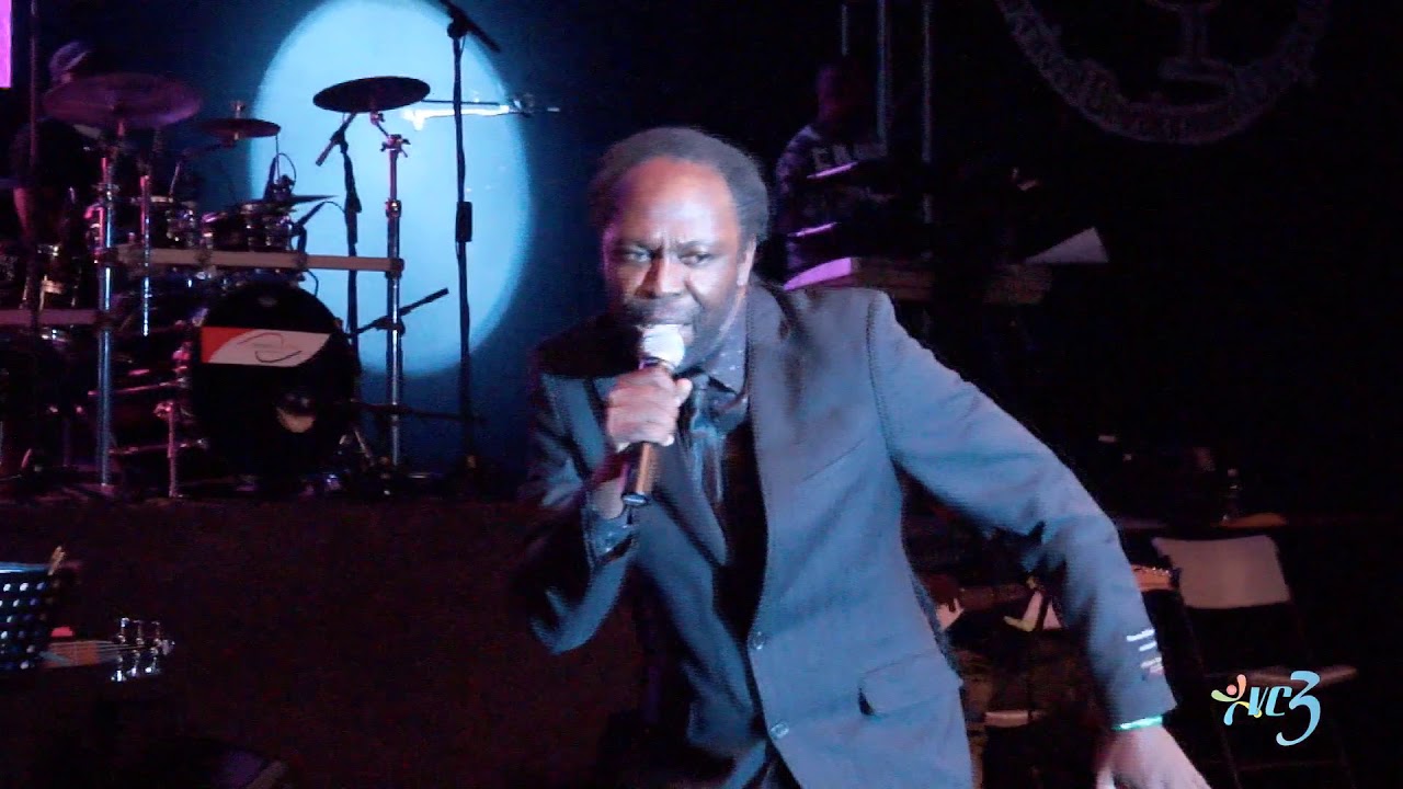VINCY MAS CALYPSO SEMIS 2019 Tajoe   Farmer - Jack Diaries