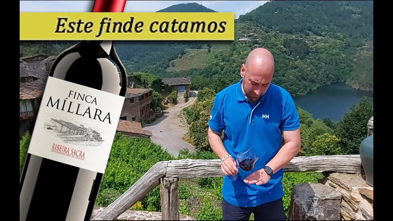 Vino Ribeira Sacra: 