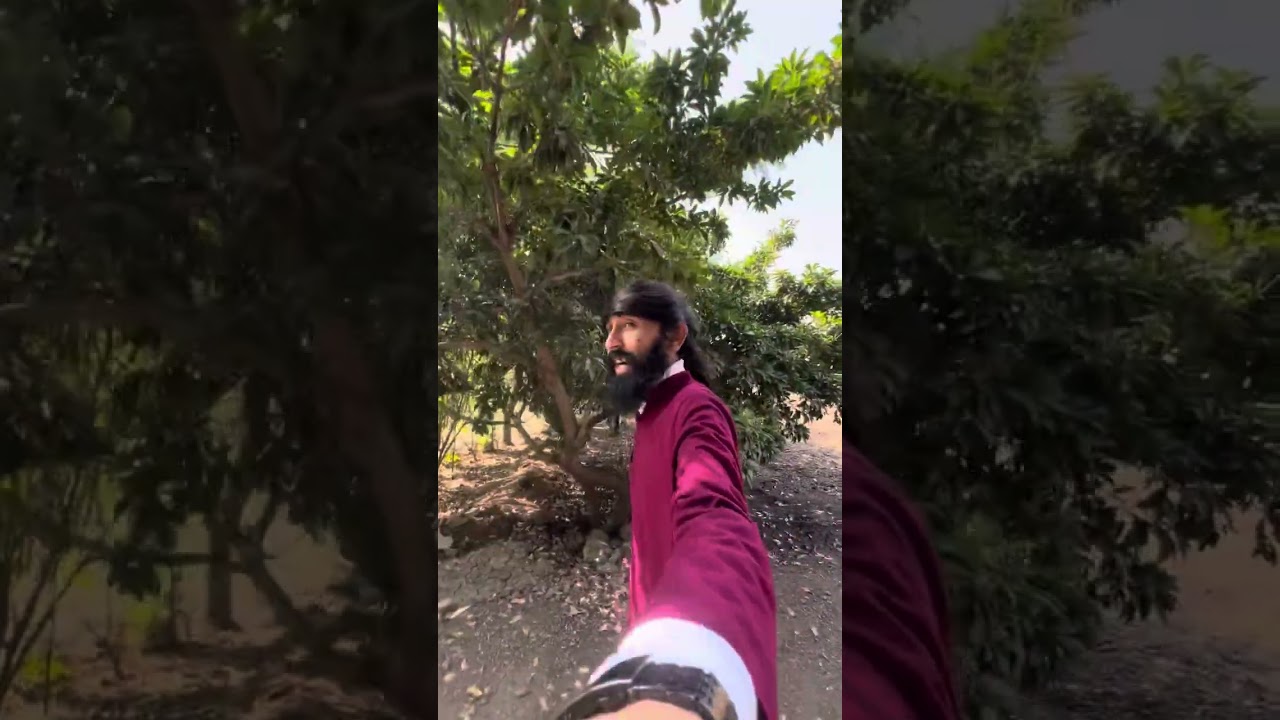 Osho Vatika rajkot Gujarat visit and all details for meditation camp ❤️🧘🫂.   #osho #rajkot