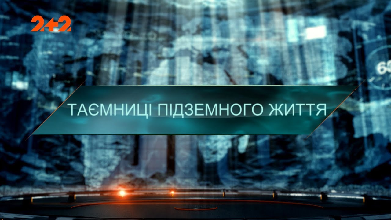 Тайны подземной жизни – Затерянный мир. 4 сезон. 15 выпуск