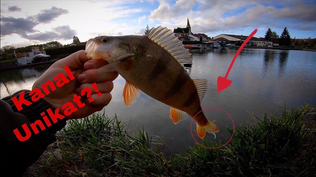 Spontan und einfach - Angeln auf Raubfisch am Kanal