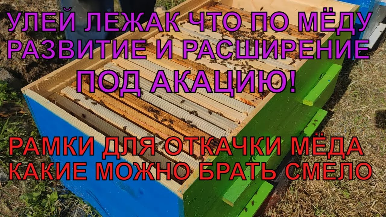 Улей ЛЕЖАК сколько мёда в лежаке РАМКИ ДЛЯ ОТКАЧКИ какие можно брать РАЗВИТИЕ И РАСШИРЕНИЕ ✅☝️🐝