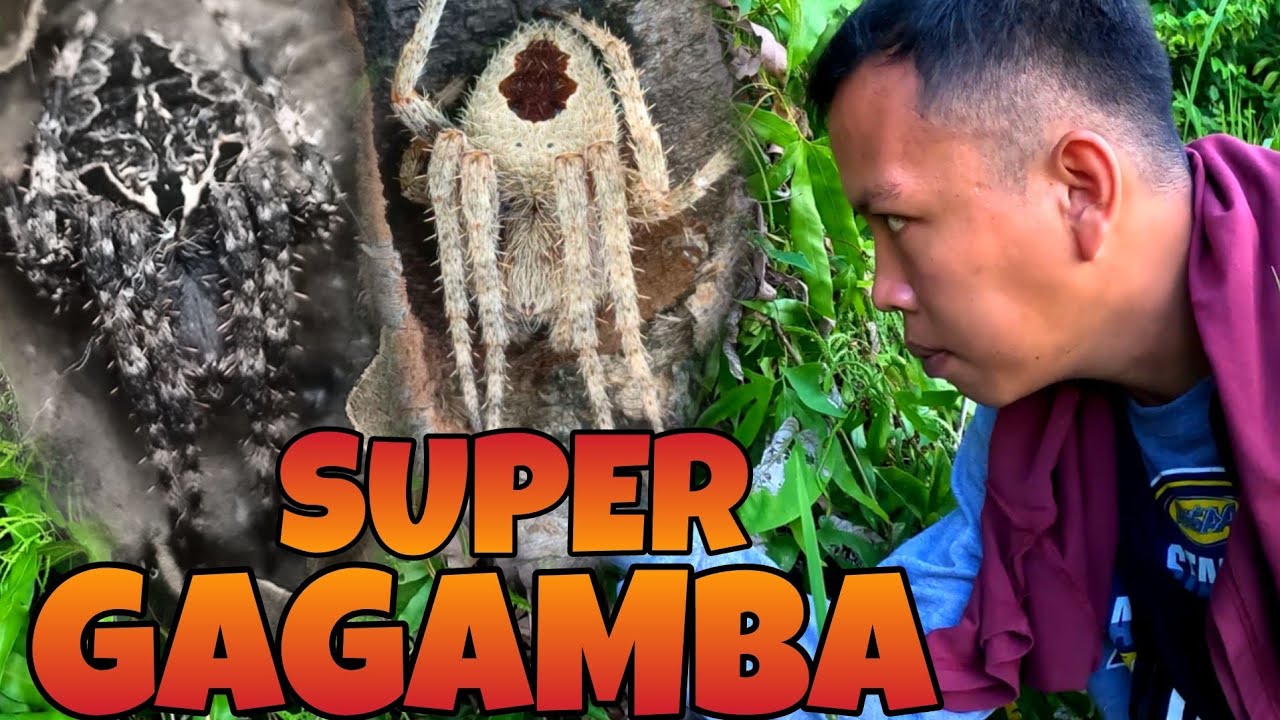GRAVE GAGAMBANG PANGDIGMA ANG AMING NAHULI  | SUPER GAGAMBA EPISODE 2