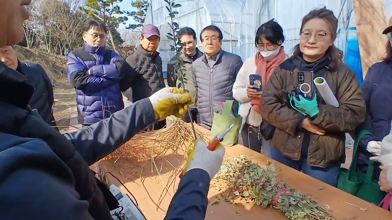 삽목! 이것만봐도