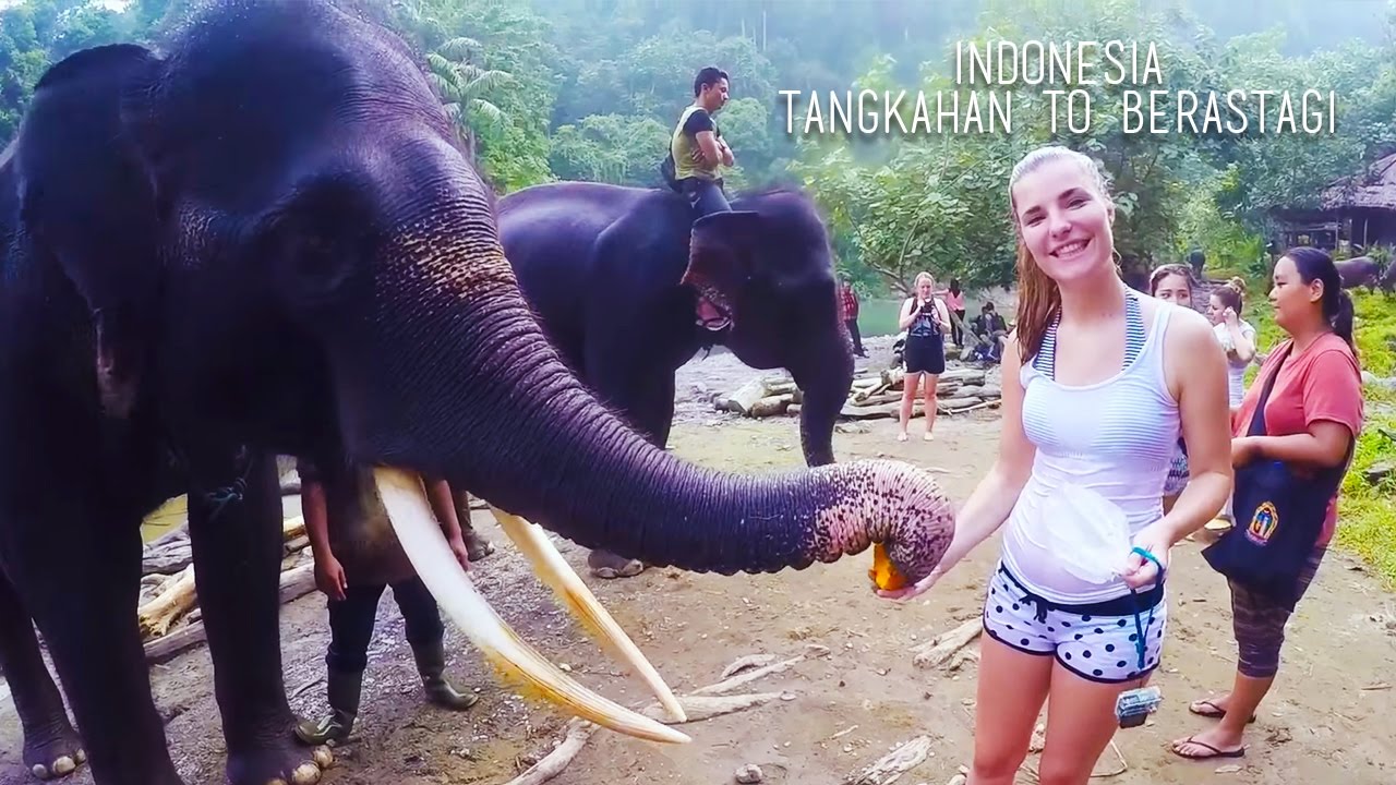 Tangkahan to Berastagi, Indonesia