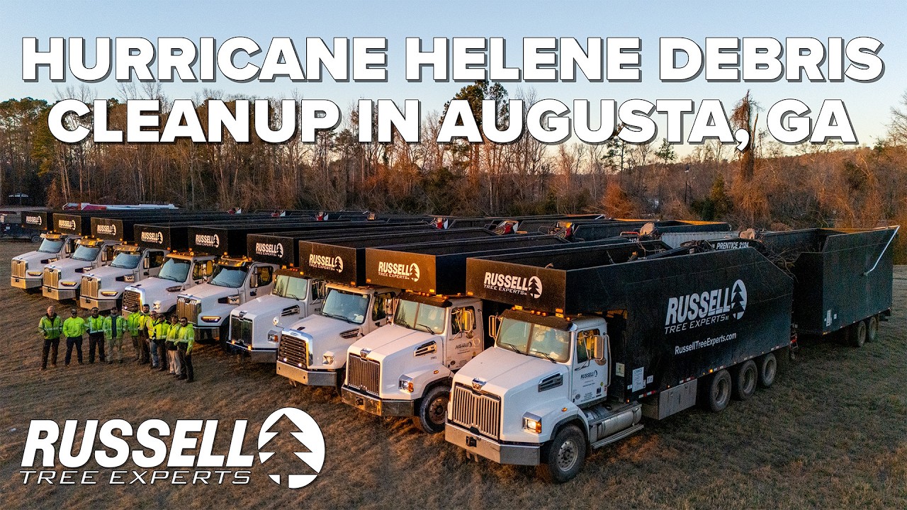 Hurricane Helene Woody Debris Cleanup in Augusta, GA