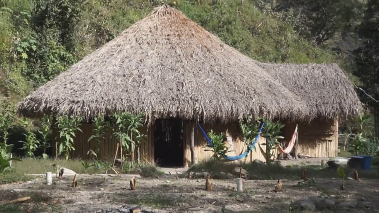 Alma Sana 2016 - 2017