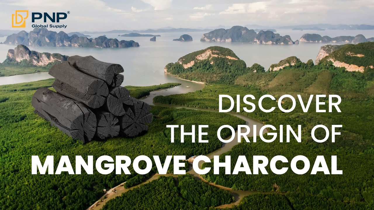 Discover the Origin of Mangrove Charcoal - by PNP Charcoal #mangrovecharcoal