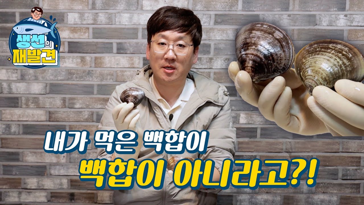 여러분들도 모르고 먹었던 짝뚱(?) 백합 (앞으로 이렇게 사세요) [#생선의재발견 EP.01]