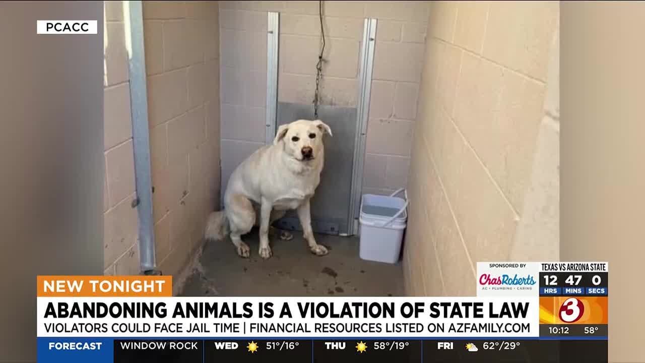 Woman wanted for dumping dog outside shelter in Casa Grande