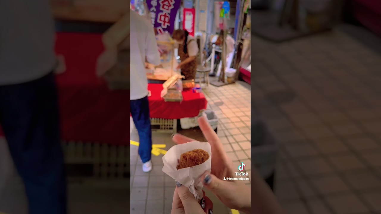 Day trip to Yanaka Ginza #japan #travel #daytrip #japanlover #lifeinjapan #yanaka #shavedice