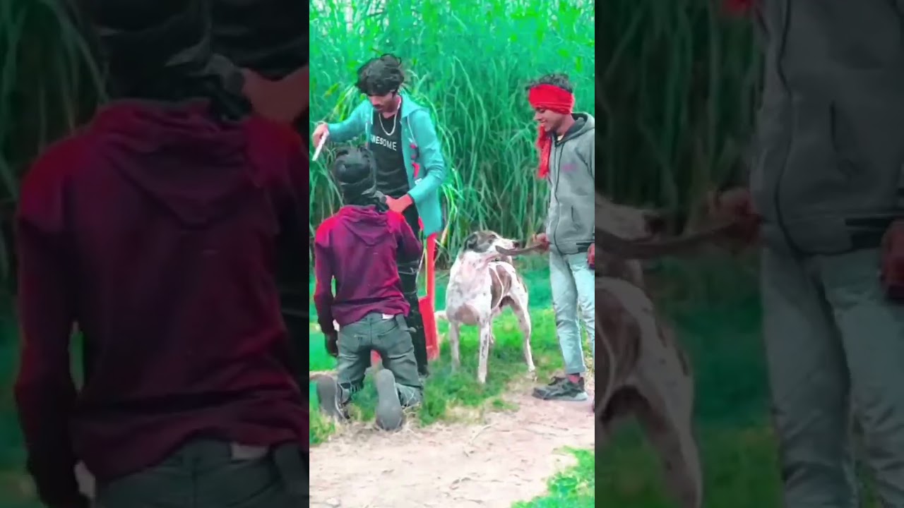 #bhojpuri