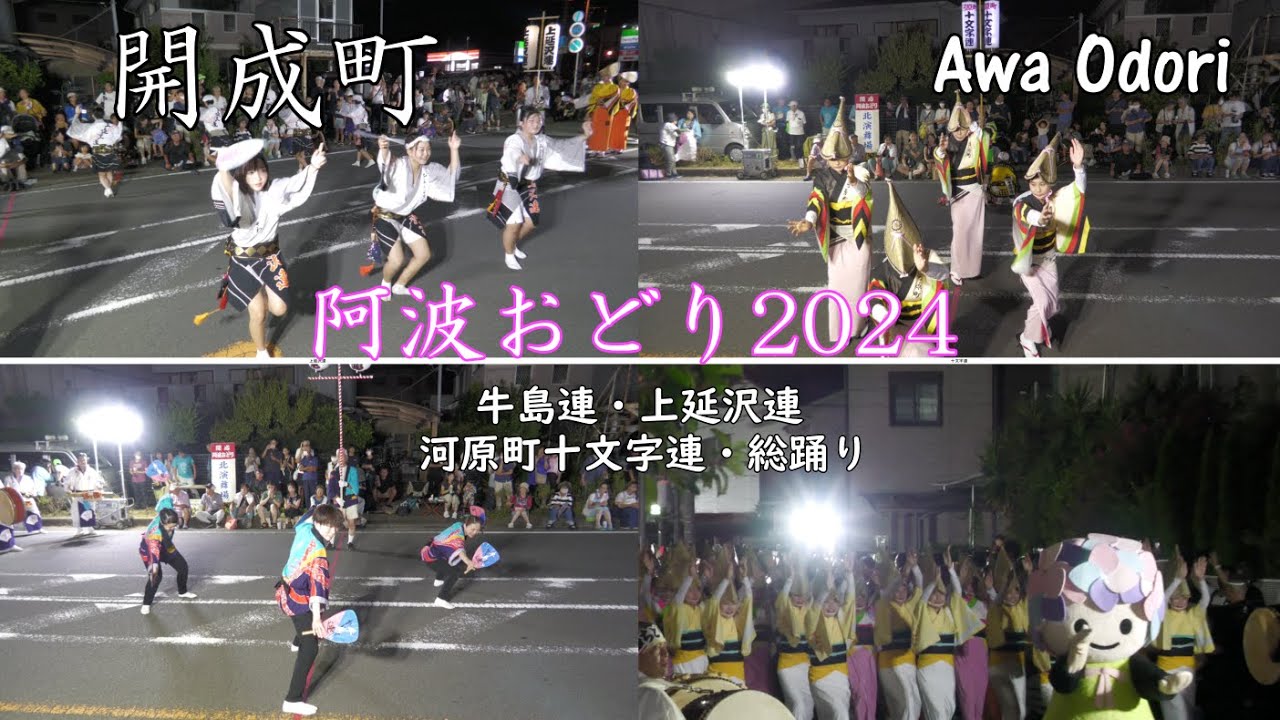 「牛島連・上延沢連・河原町十文字連・総踊り」流しおどり・定点おどり　開成町阿波おどり2024  Awa Odori in japan.