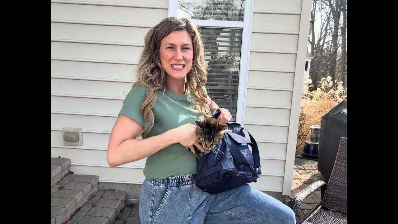 cat carrying blue bag product
