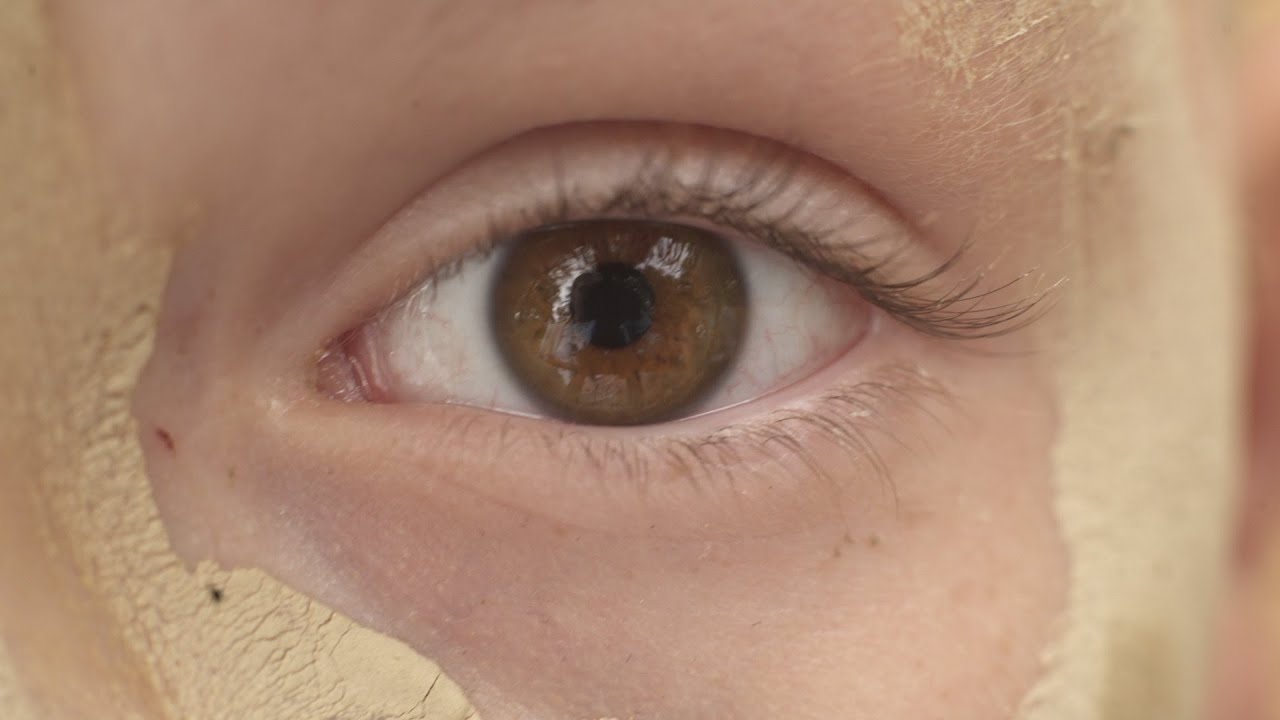 Der Wolf ist tot / Kurzfilm / Schwedt / Astrid Lindgren Grundschule