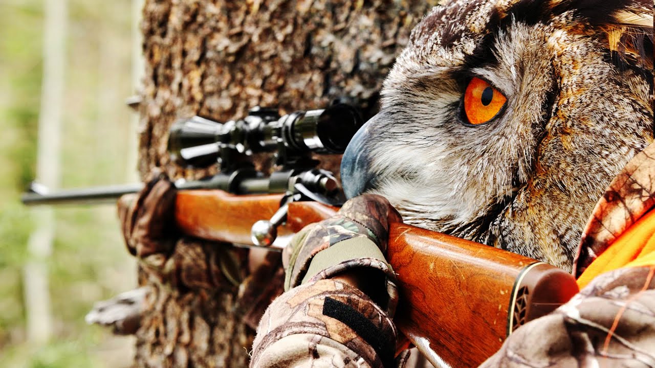 Can You Beat Fallout 4 With Only Hunting Rifles?