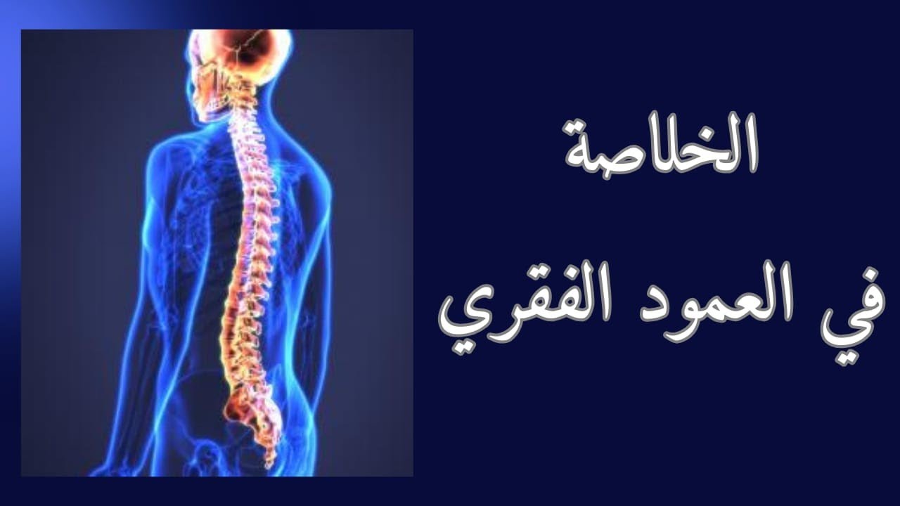 الخلاصة في العمود الفقري 