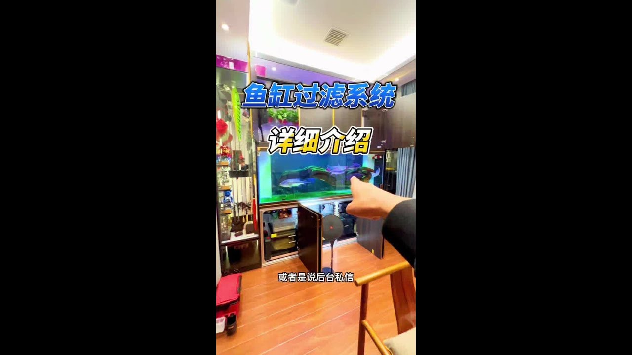 鱼缸过滤系统详细介绍，供大家参考，欢迎各位鱼友们指正🤝#养鱼日记 #路亚 #鱼缸过滤系统