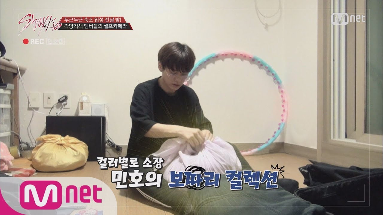 Stray Kids [1회] ♡두근두근♡ 숙소 입성 전날 밤!｜각양각색 셀프카메라 171017 EP.1
