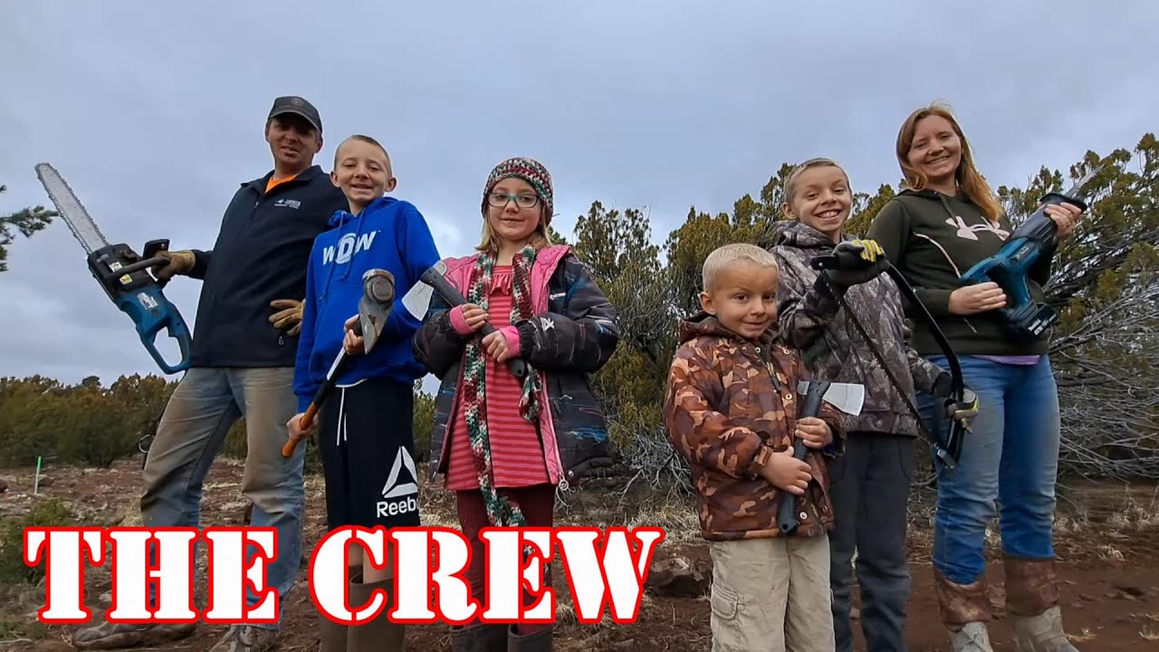 Reducing Junipers To Firewood For Our Off Grid Septic System