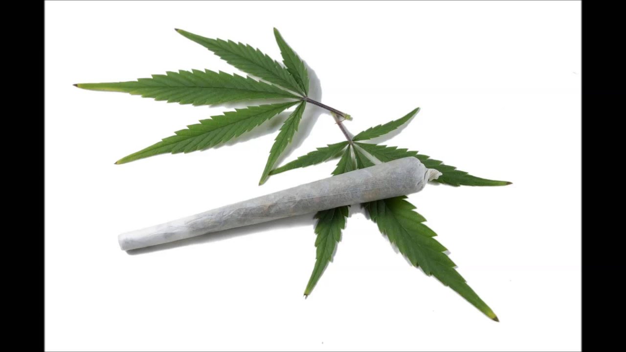 rolling jays
