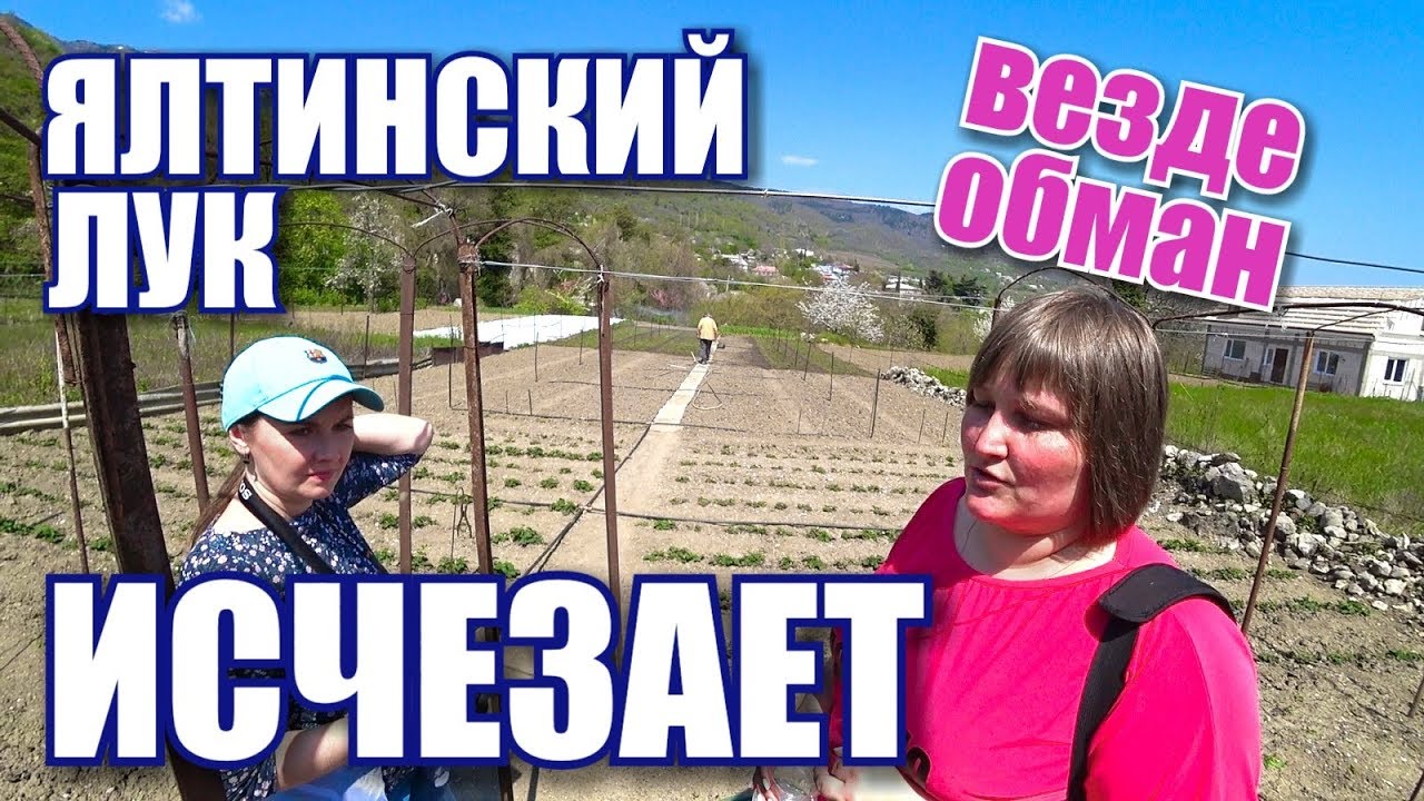 Сладкий ялтинский лук исчезает! Остерегайтесь подделок! Озеро Бирюзовое и Ровное. Крым сегодня 2019