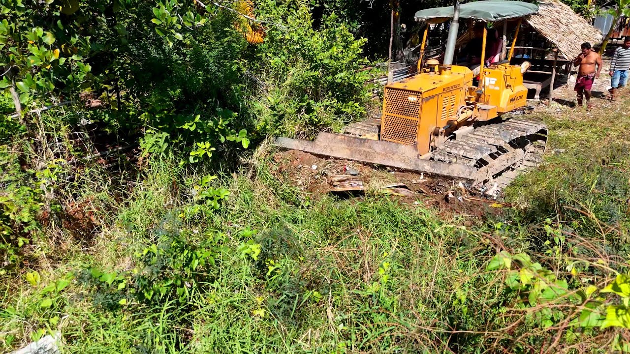 Great Skills Clearing Big Forest In The Mountain By Bulldozer D31P Clearing Pushing & Forest Big