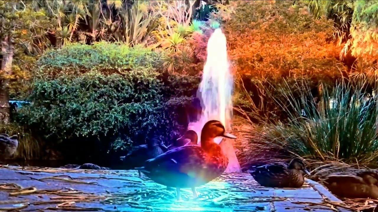 Villa Intellia - Surface Tension (Electro Organic)