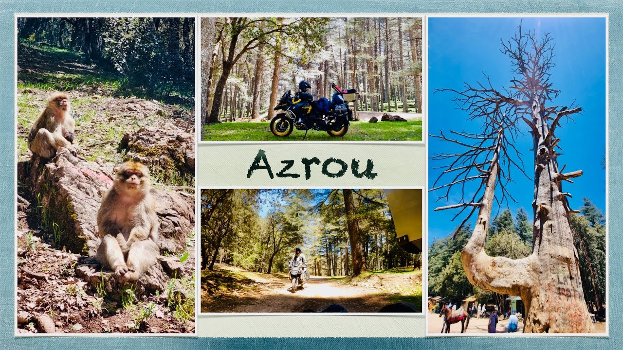The journey to Azrou, Morocco