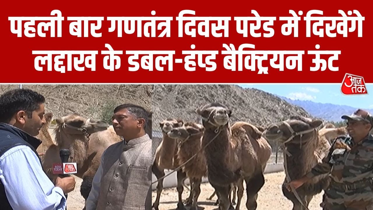 Republic Day Parade में पहली बार Ladakh के Double-Humped Camels, Nubra Valley Camels | Aajtak