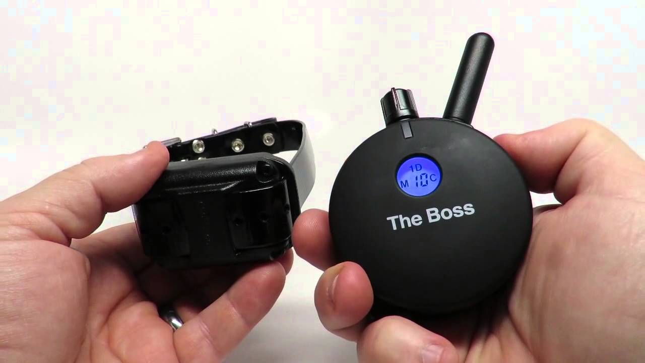 E-Collar Technologies The Boss ET-800