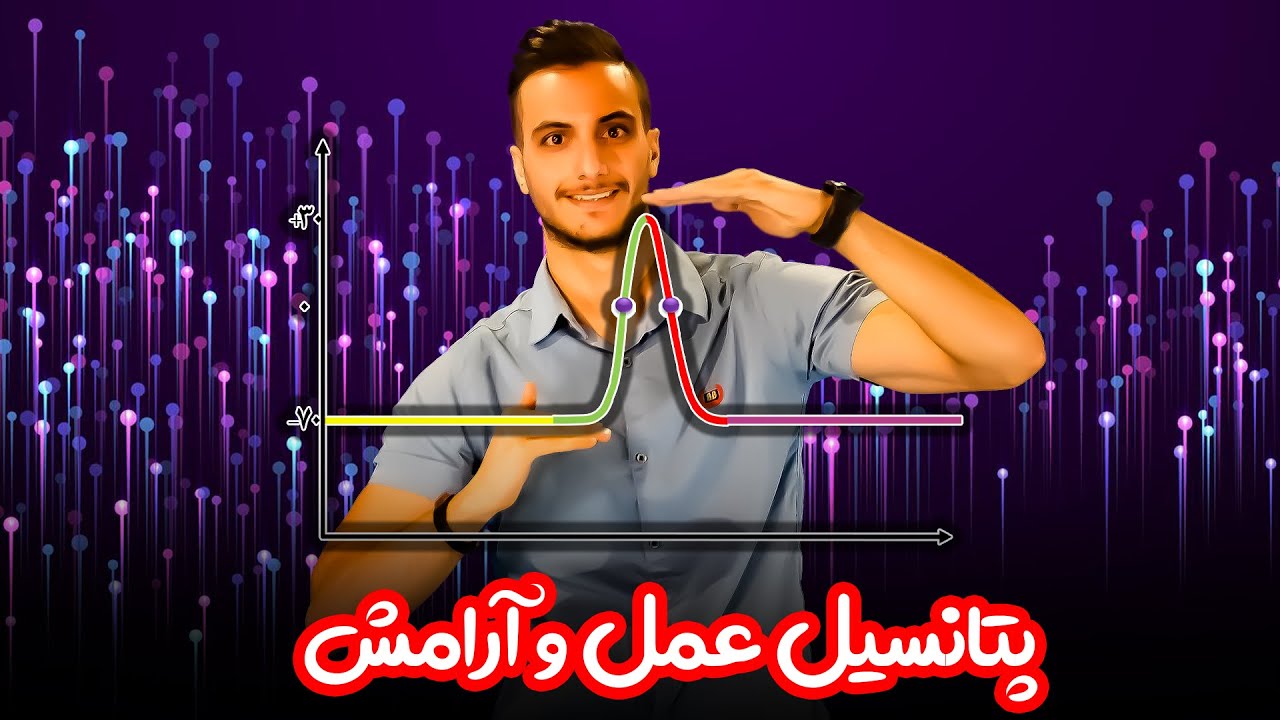 پتانسیل عمل و ارامش زیست یازدهم تنظیم عصبی