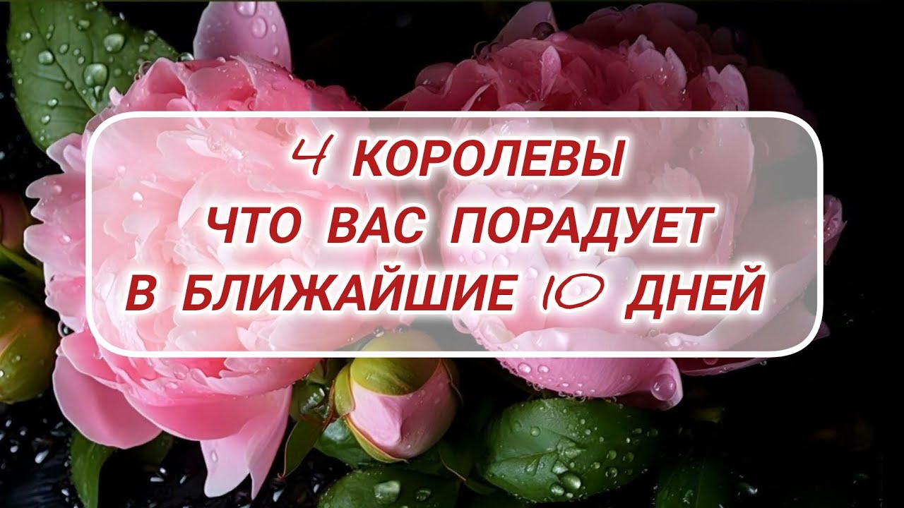4 Королевы. Что порадует в ближайшие 10 дней? 💐#гаданняукраїна #таронамайбутнє #таронабудущее