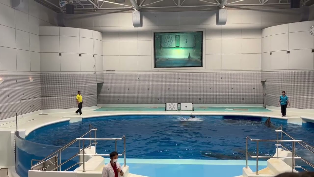 【2023年5月】いおワールドかごしま水族館　イルカショー