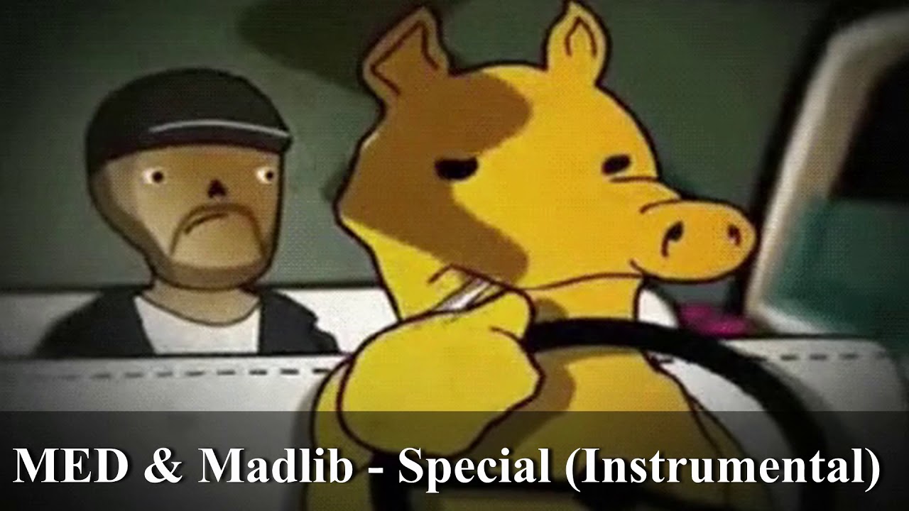 Madlib - Special (Instrumental)