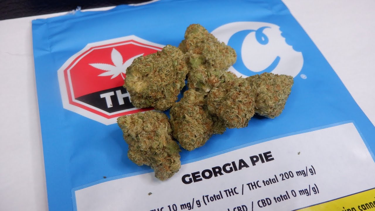 Strain Review Georgia Pie By Cookies