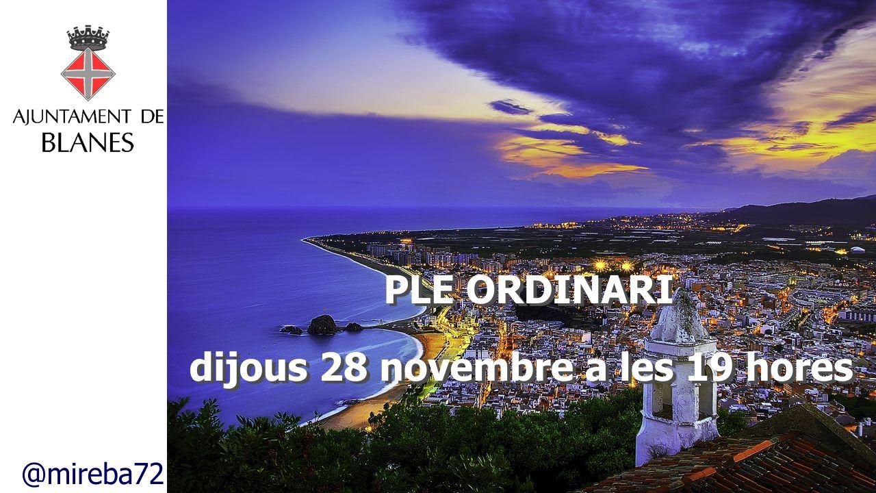 Ple ordinari del mes de novembre de 2024