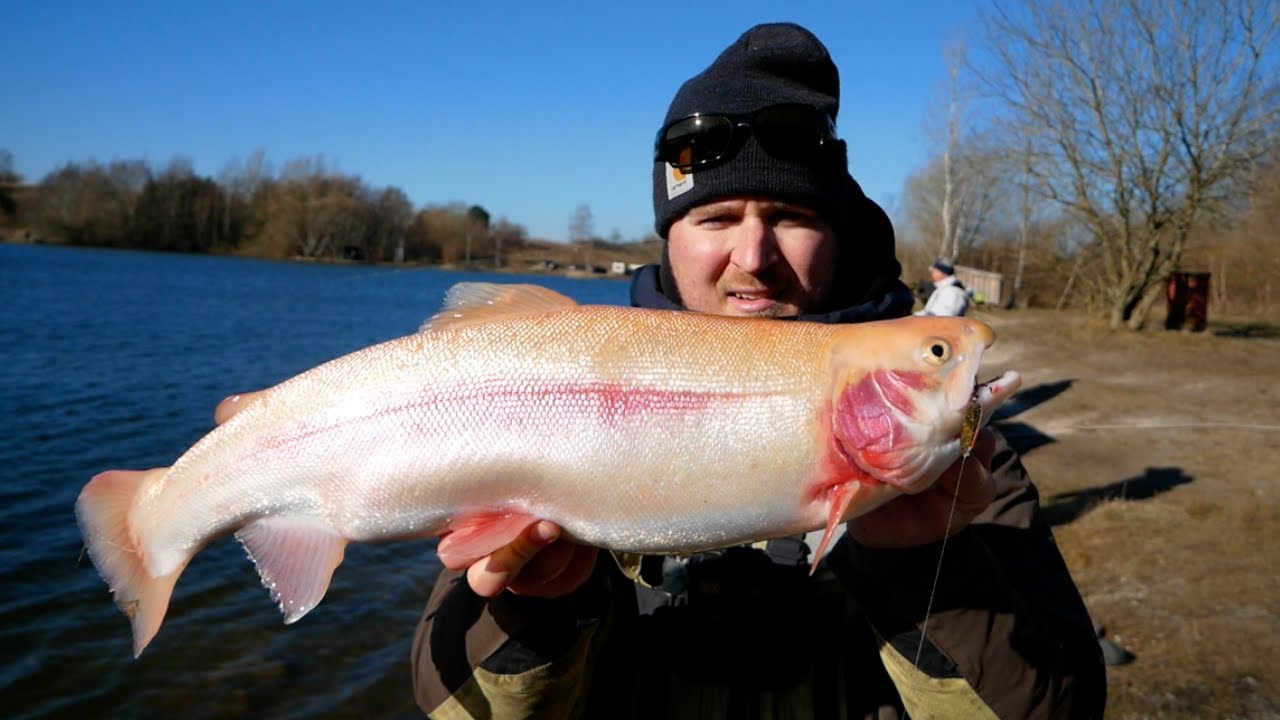 Guldtur: Fiskehygge med Jyderne