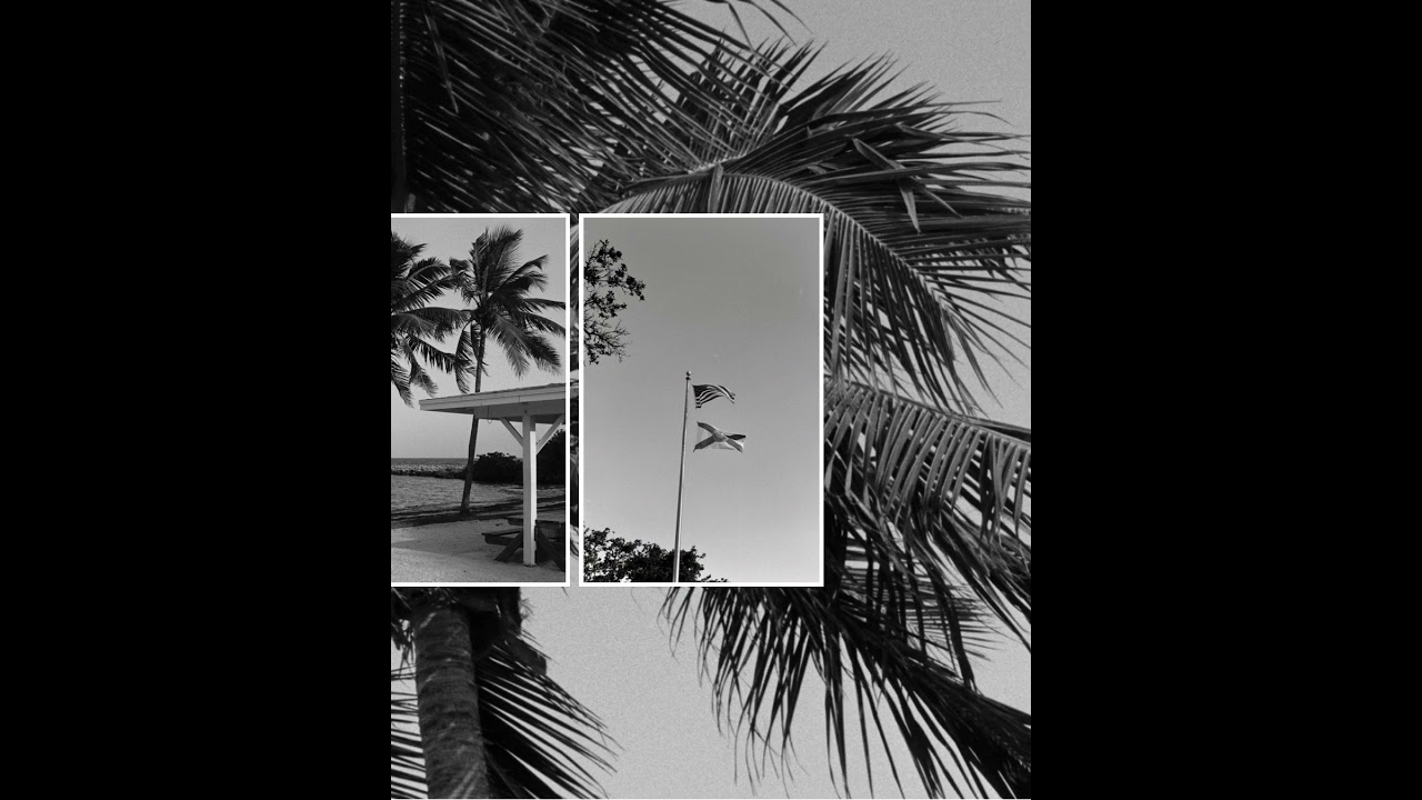 Analog therapy with my Nikon F6 and Fomapan B&W Film in The Florida Keys 🎞️#analogphoto  #nikonf6