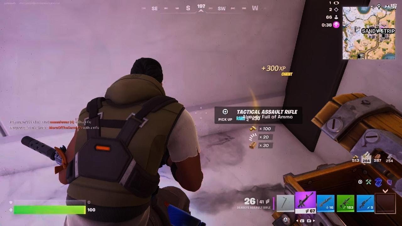 Fortnite first win of the season 