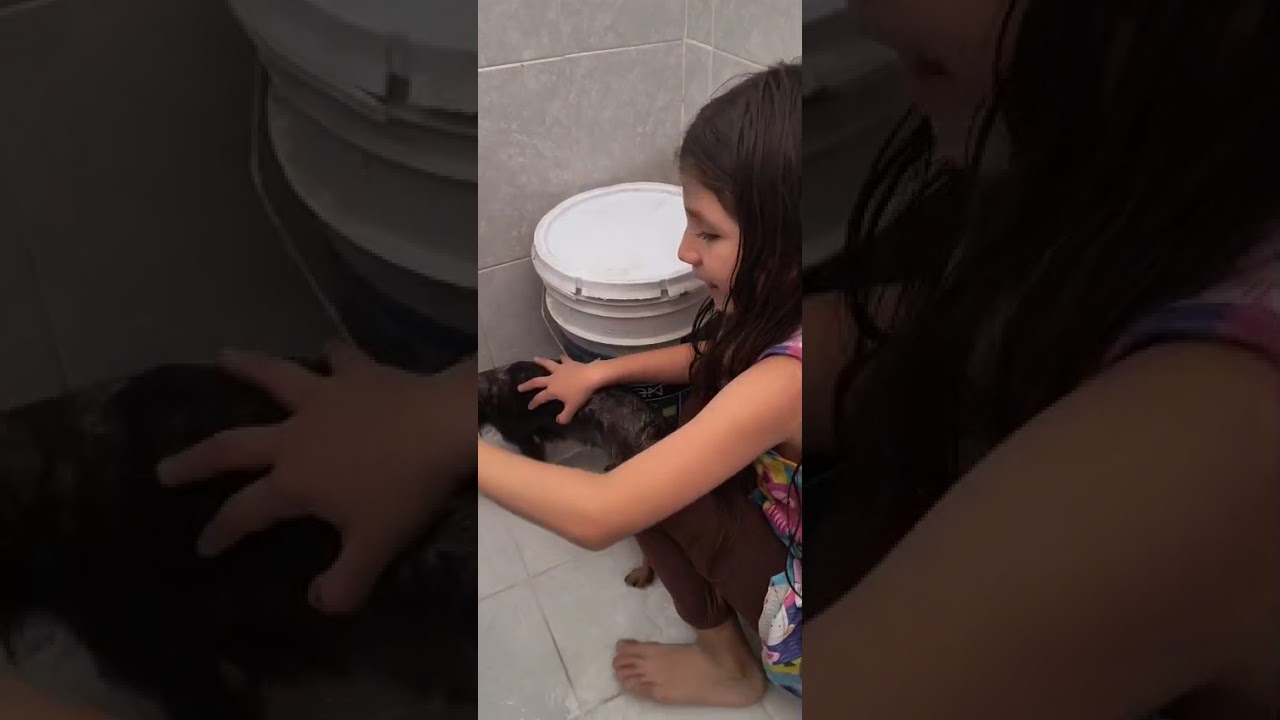 Bañando a calvin 