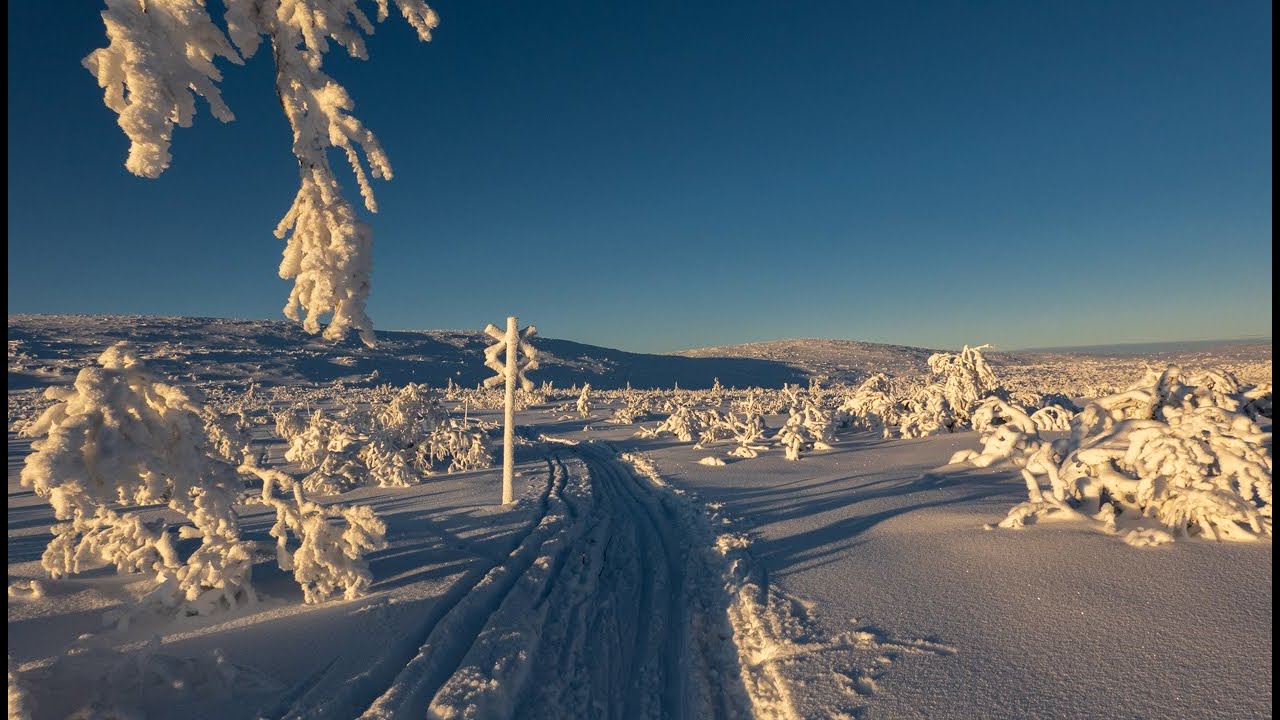 Turskidåkning i Vemdalen