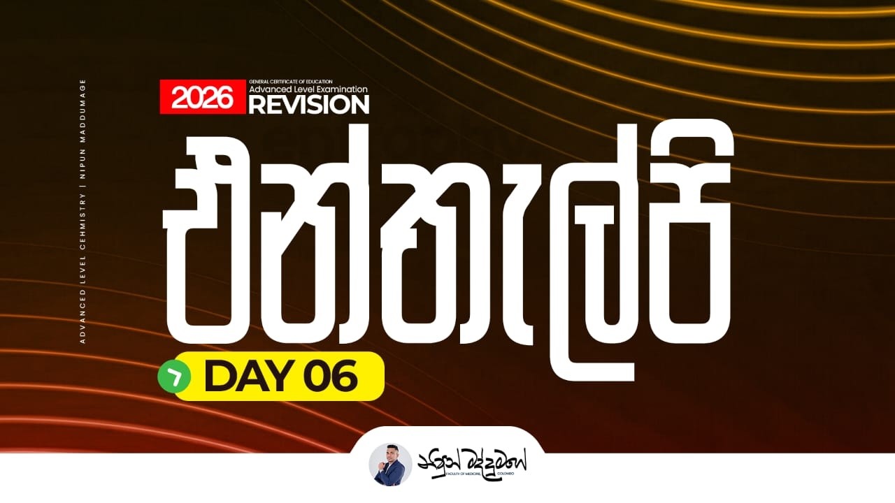 එන්තැල්පි - Day 6 | Nipun Maddumage