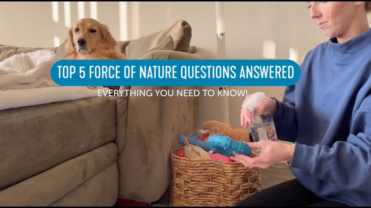 Top 5 Force of Nature Questions Answered