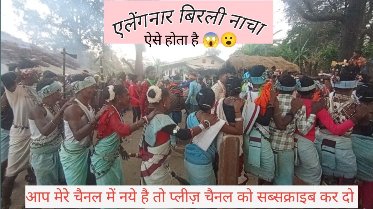 एलेंगनार दियारी तियार।। बिरली नाचा dhurwa trible 🌿🏹 dhurwa adivasi 🏹 @dhurwababu