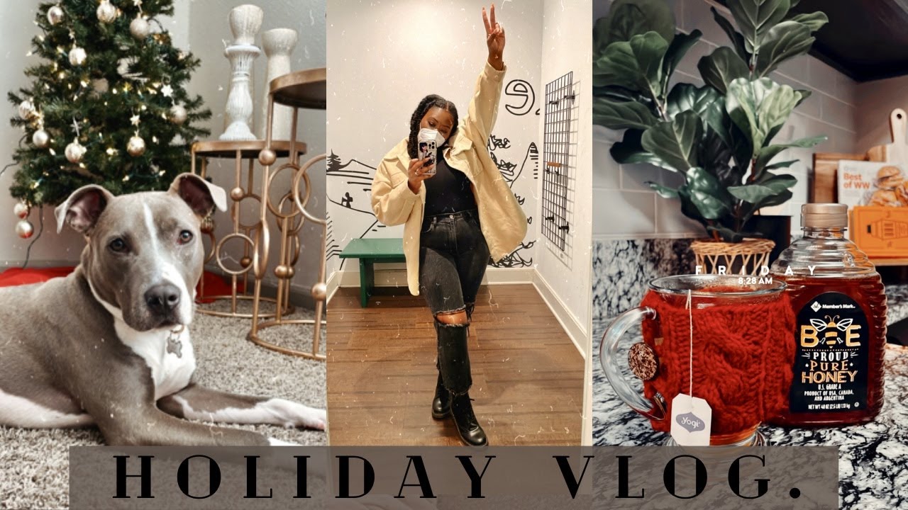 Holiday Vlog: Dog Mom Duties, Lunch Dates with Bae + Creating IG Reels