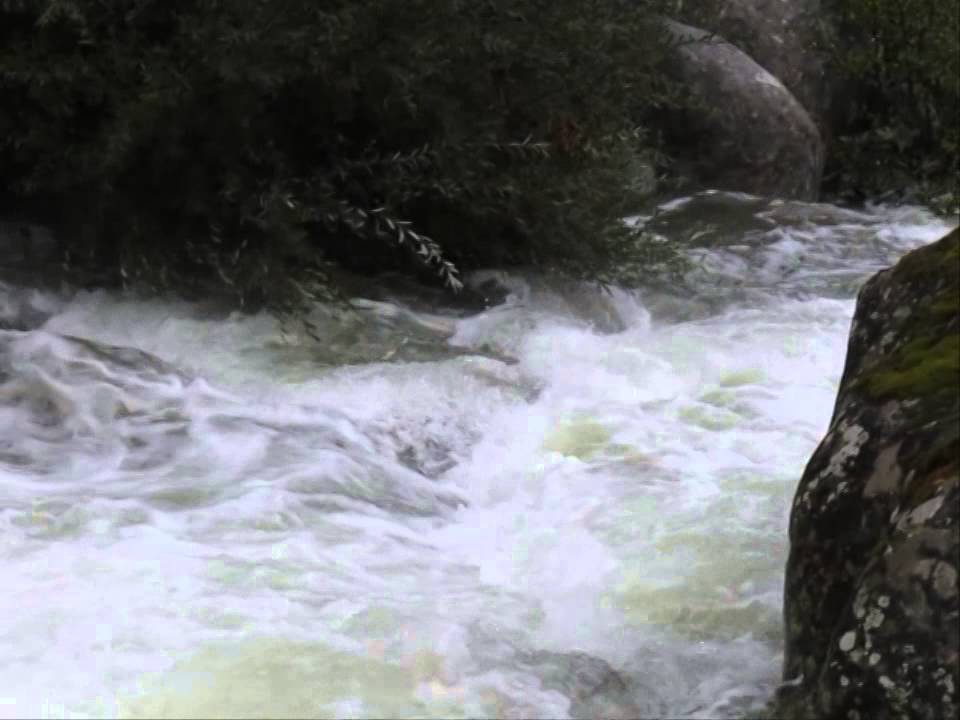 JOYANCO -  RIO PELAYO - GUISANDO