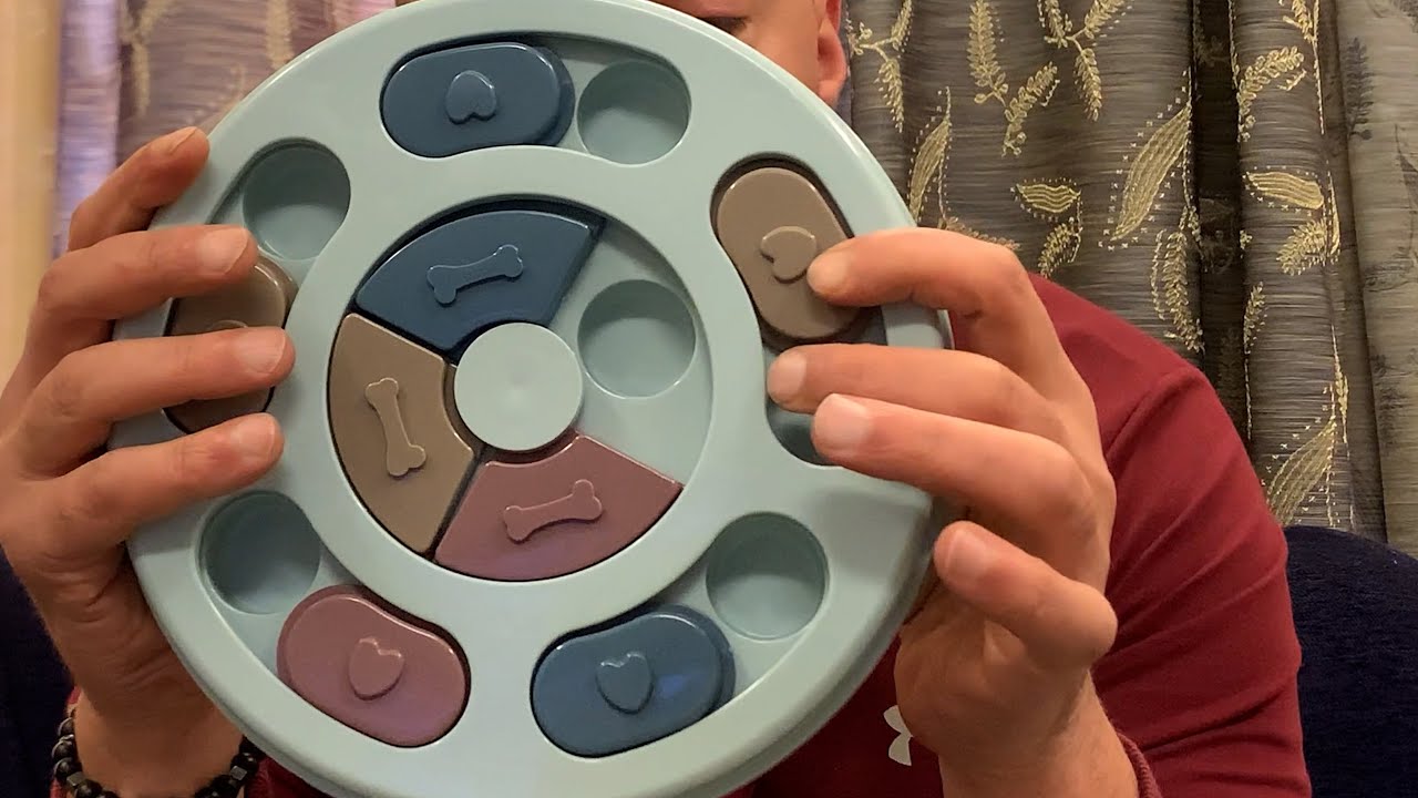 كيف انمي ذكاء الكلاب او القطط