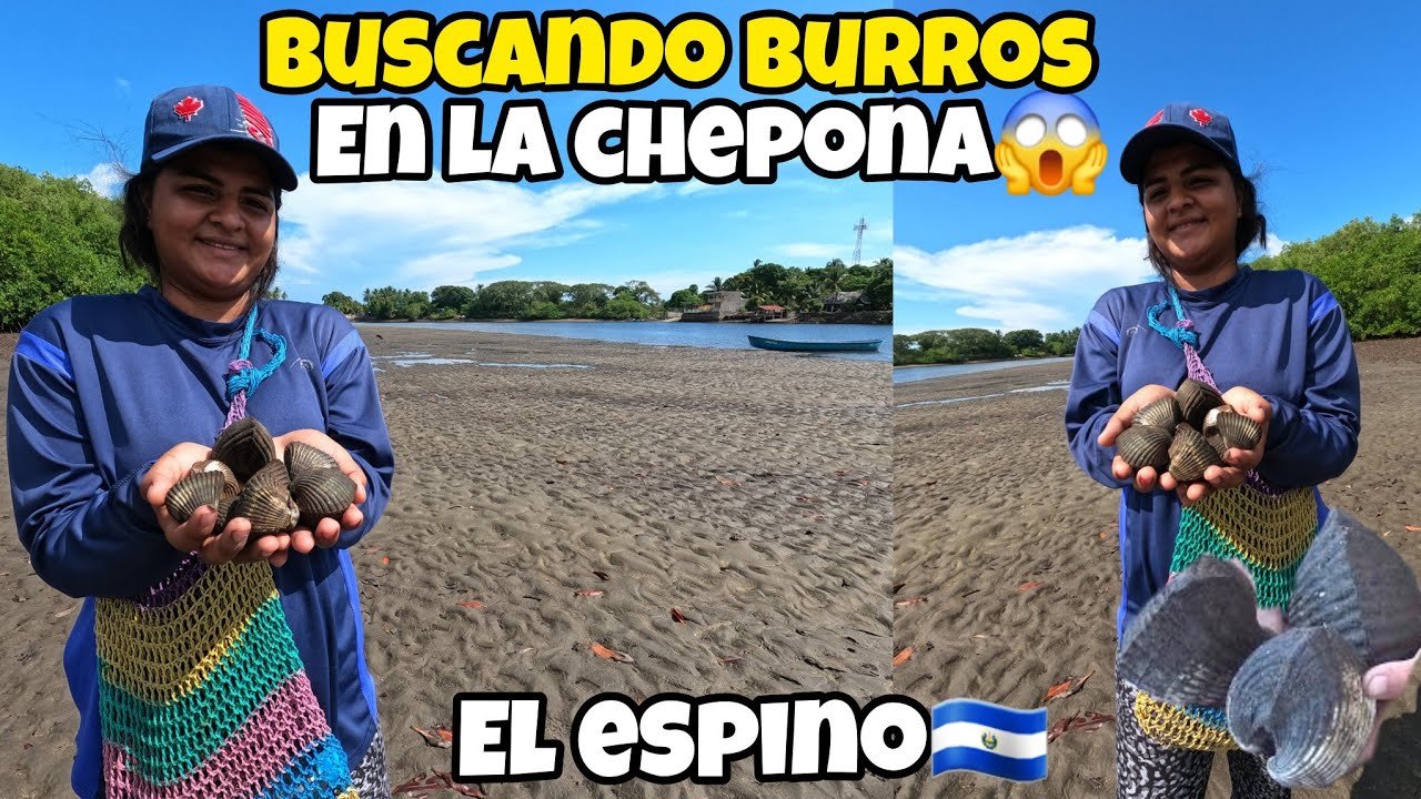 😱🚨SACANDO BURROS EN EL ESTERO DE LA CHEPONA PLAYA EL ESPINO USULUTAN 🇸🇻
